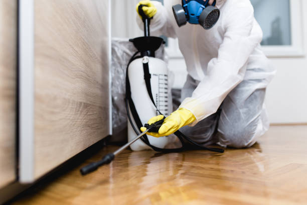 Best Pest Control Near Me  in Clearview, WA