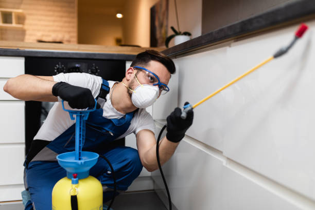 Best Best Pest Control Companies  in Clearview, WA