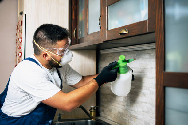 Best Flea Control Services  in Clearview, WA