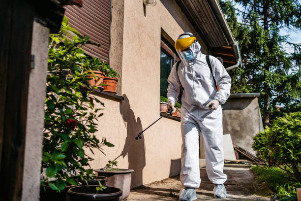 Best Wildlife Control Services  in Clearview, WA