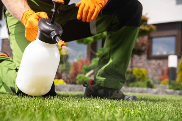 Best Emergency Pest Control  in Clearview, WA