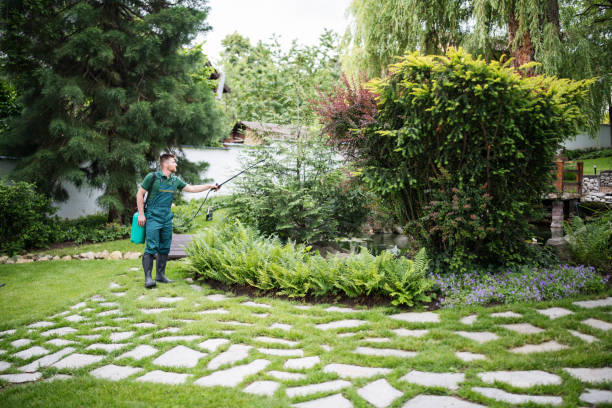 Best Ant Control Services  in Clearview, WA