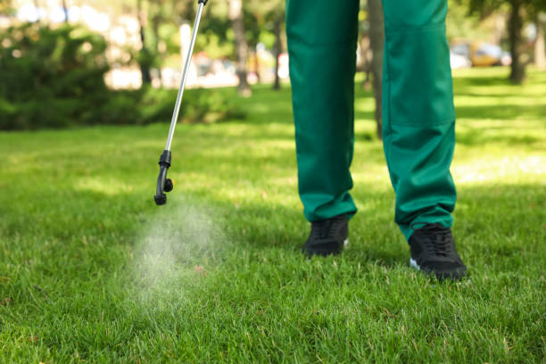 Best Rodent Control Near Me  in Clearview, WA
