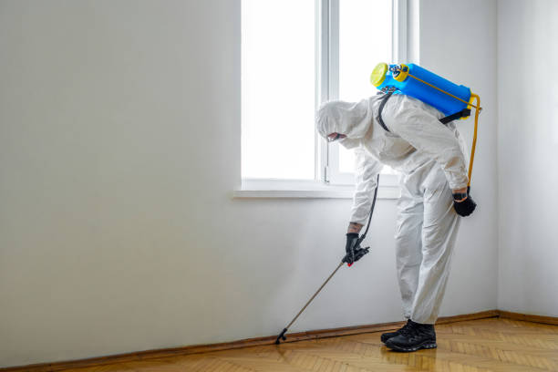 Best Pest Inspection Near Me  in Clearview, WA