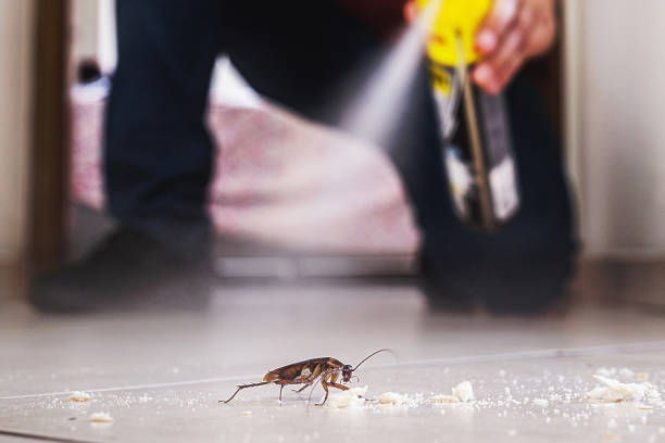 Best Residential Pest Control  in Clearview, WA