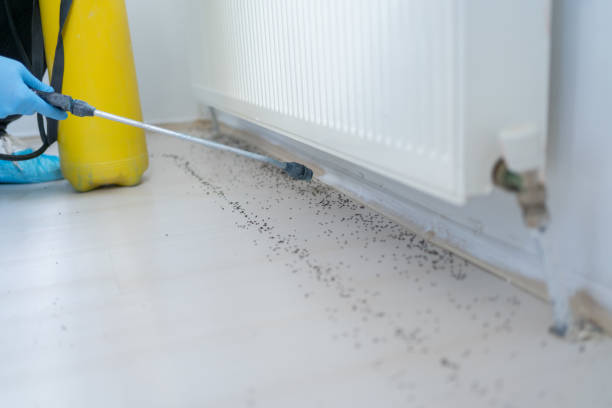 Professional Pest Control in Clearview, WA