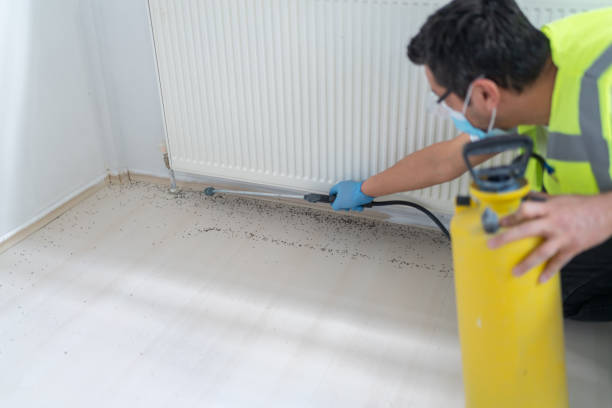 Pest Prevention Services in Clearview, WA
