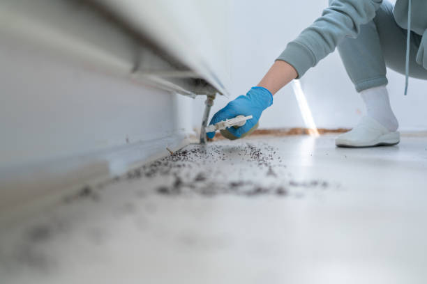 Best Pest Control Near Me  in Clearview, WA