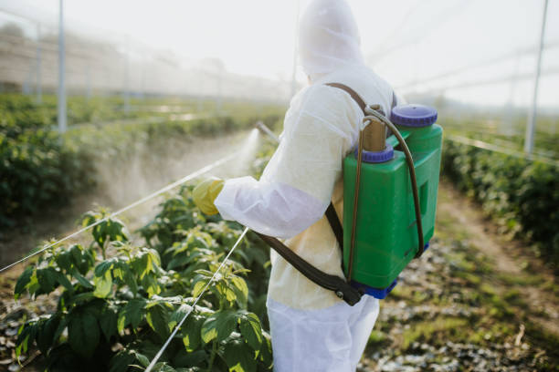 Best Pest Control Near Me  in Clearview, WA